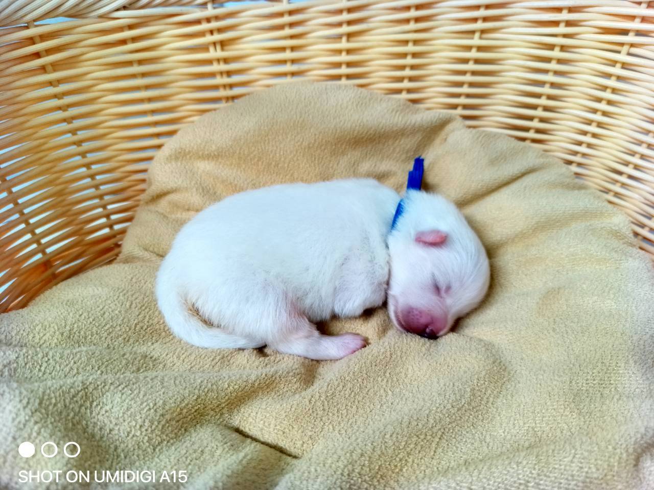 赤ちゃん写真1-2