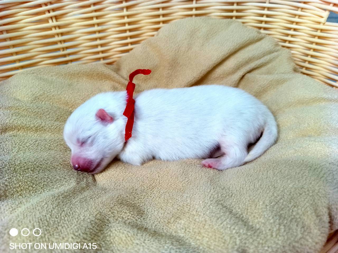 赤ちゃん写真1-2