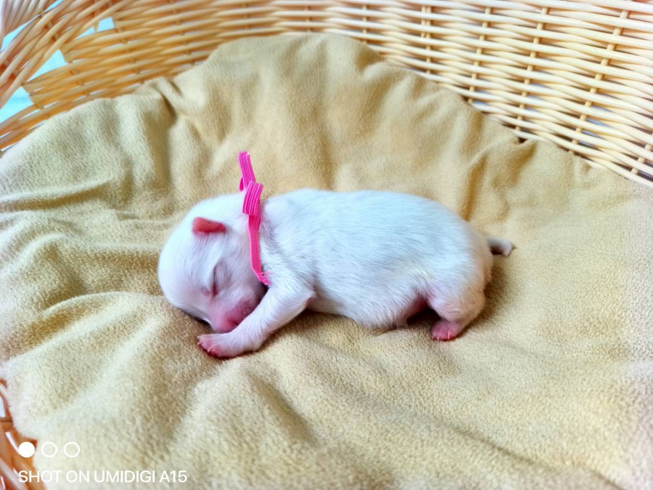 赤ちゃん写真1-2