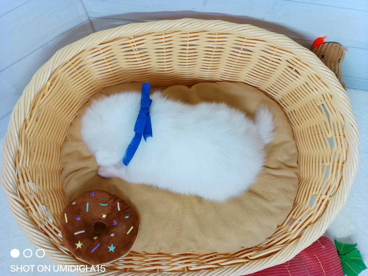 赤ちゃん写真2-3