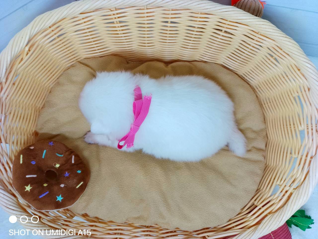 赤ちゃん写真2-3