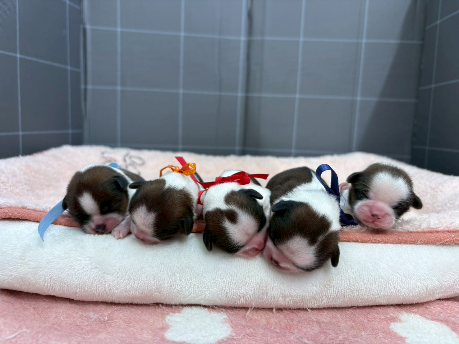 赤ちゃん写真1-3