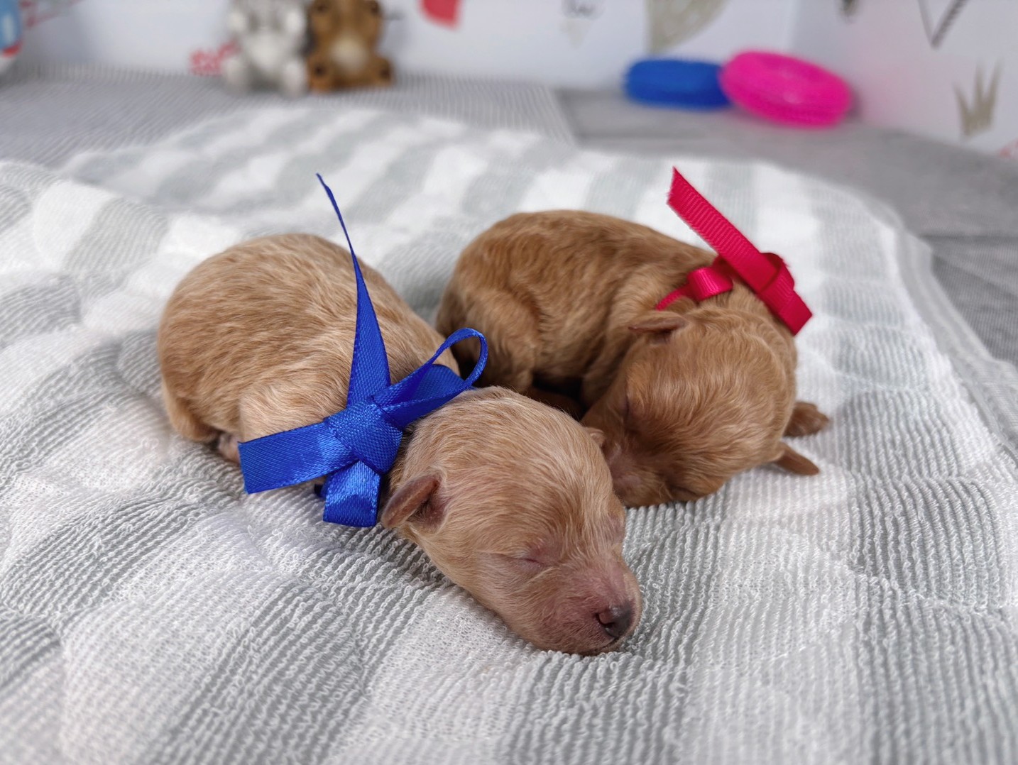 赤ちゃん写真1-3