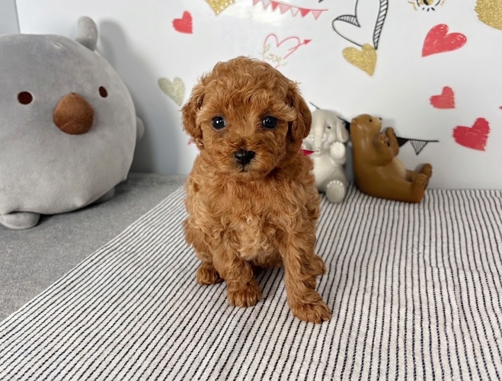 赤ちゃん写真2-1