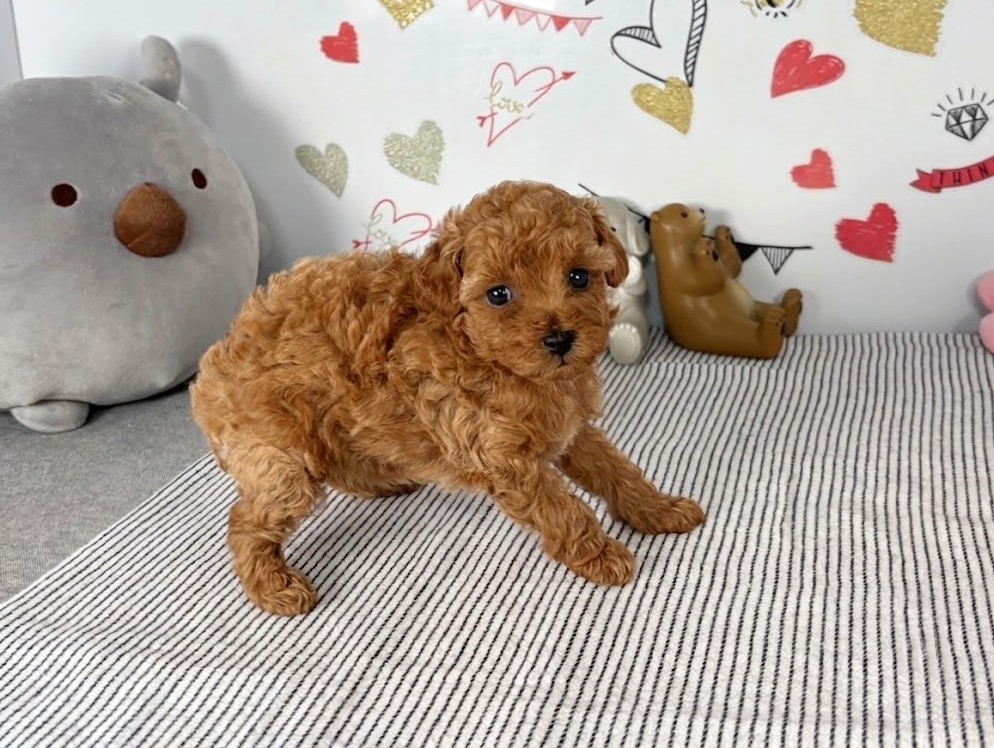 赤ちゃん写真2-2