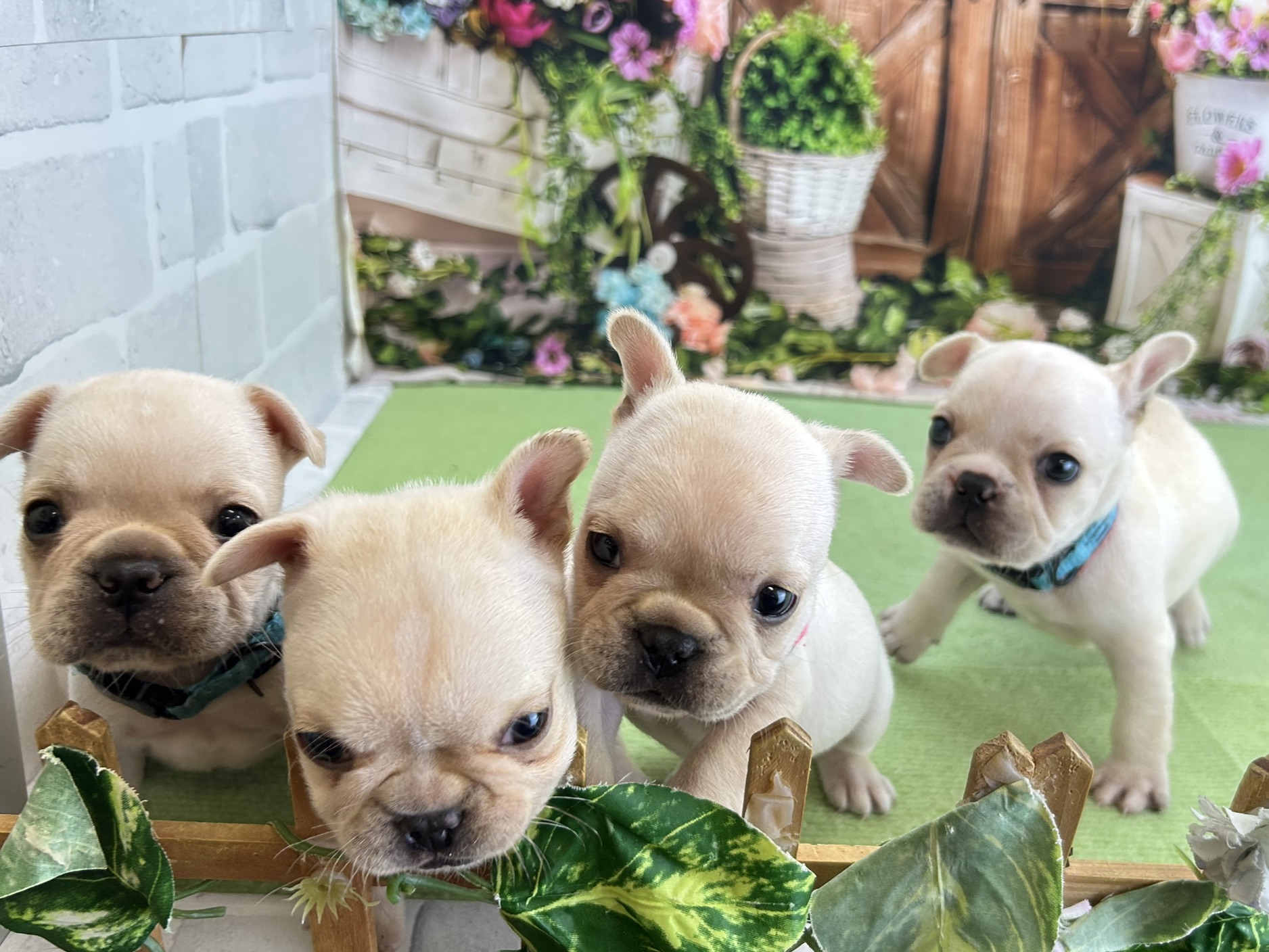 赤ちゃん写真2-3
