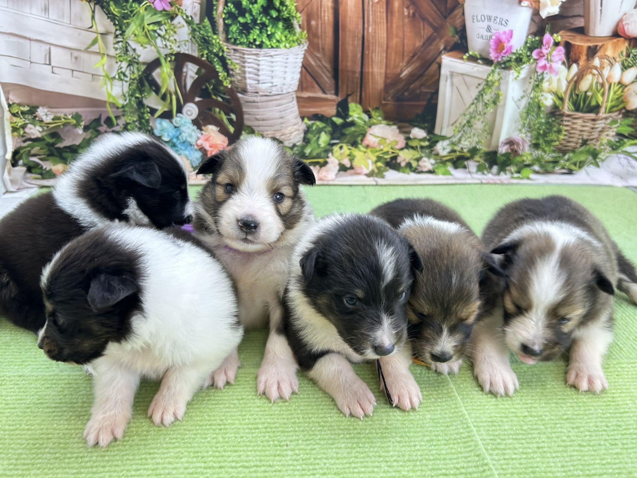 赤ちゃん写真1-3