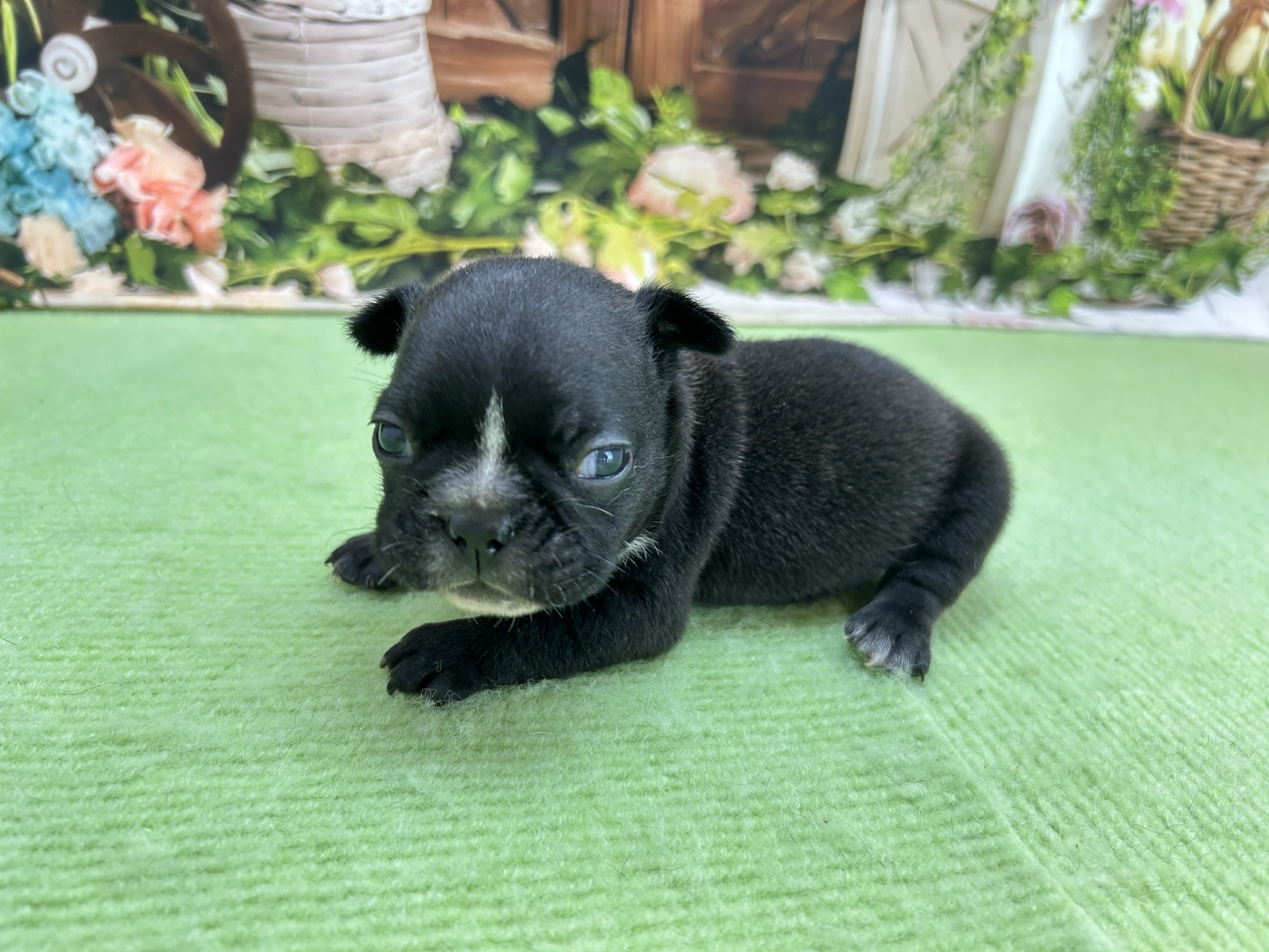 赤ちゃん写真1-2