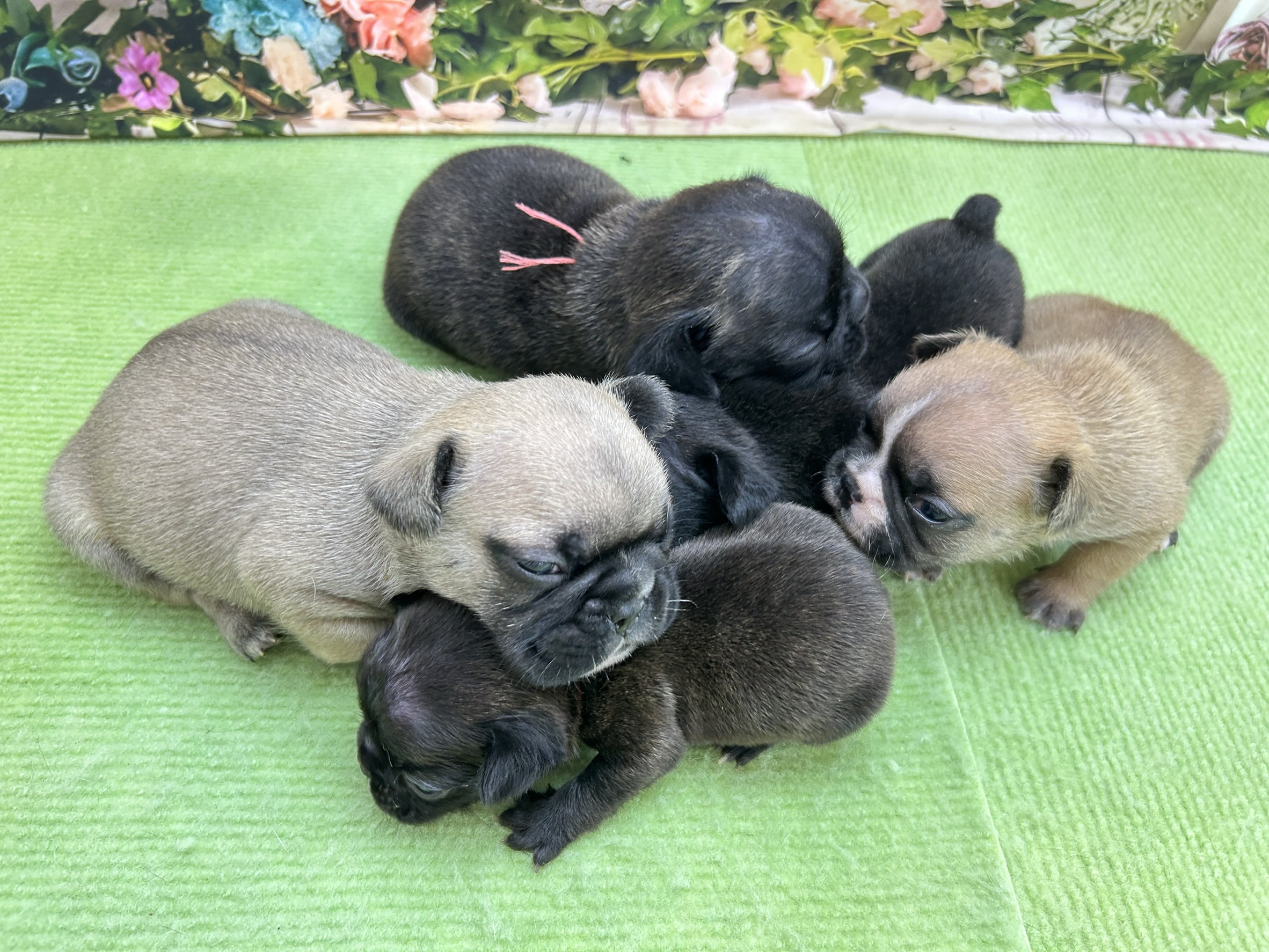 赤ちゃん写真1-3