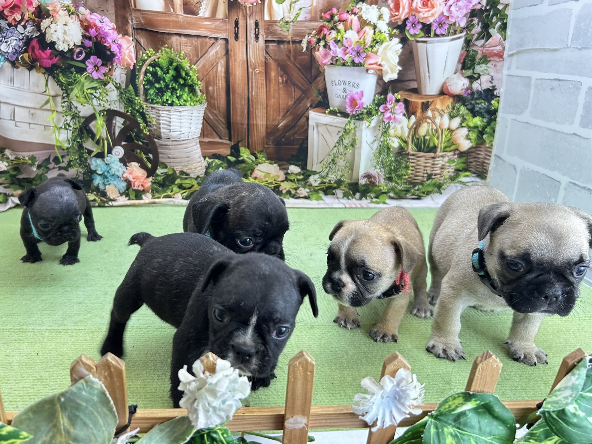 赤ちゃん写真2-3