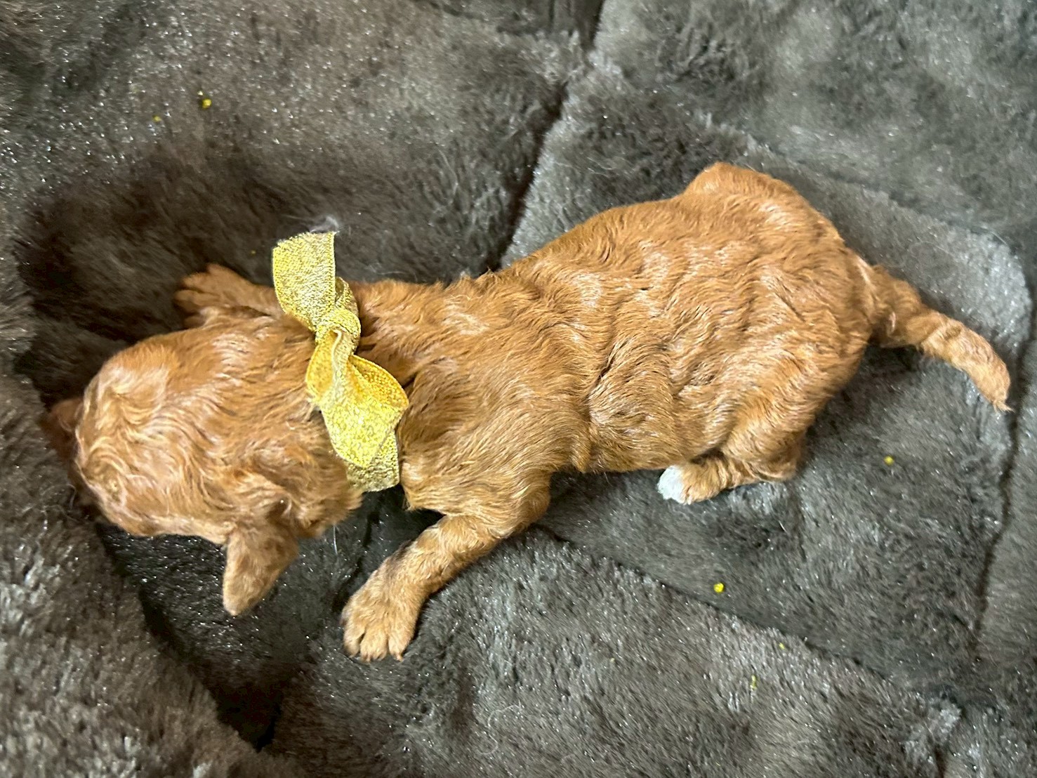 赤ちゃん写真1-3