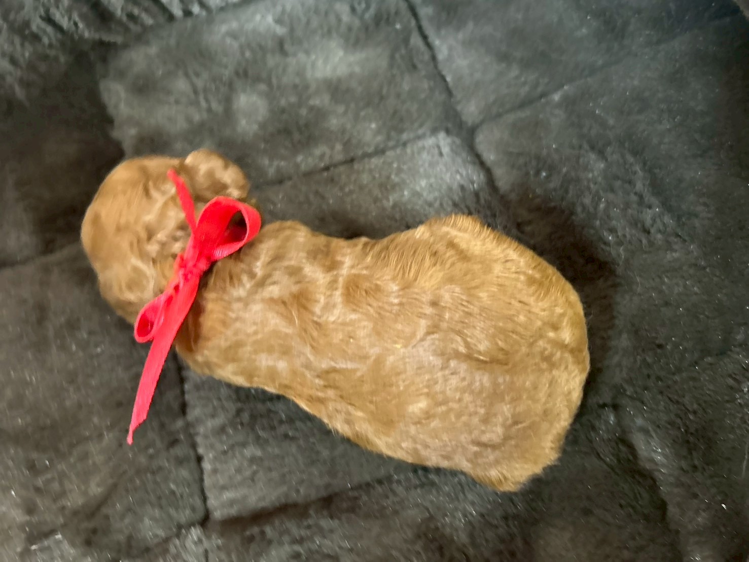 赤ちゃん写真1-3
