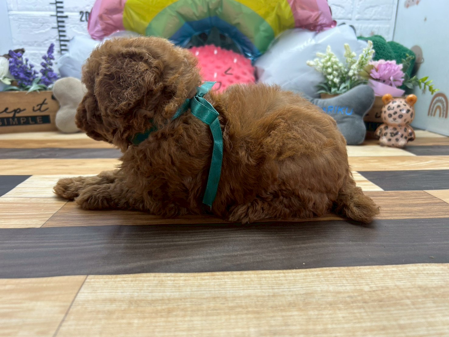 赤ちゃん写真3-2