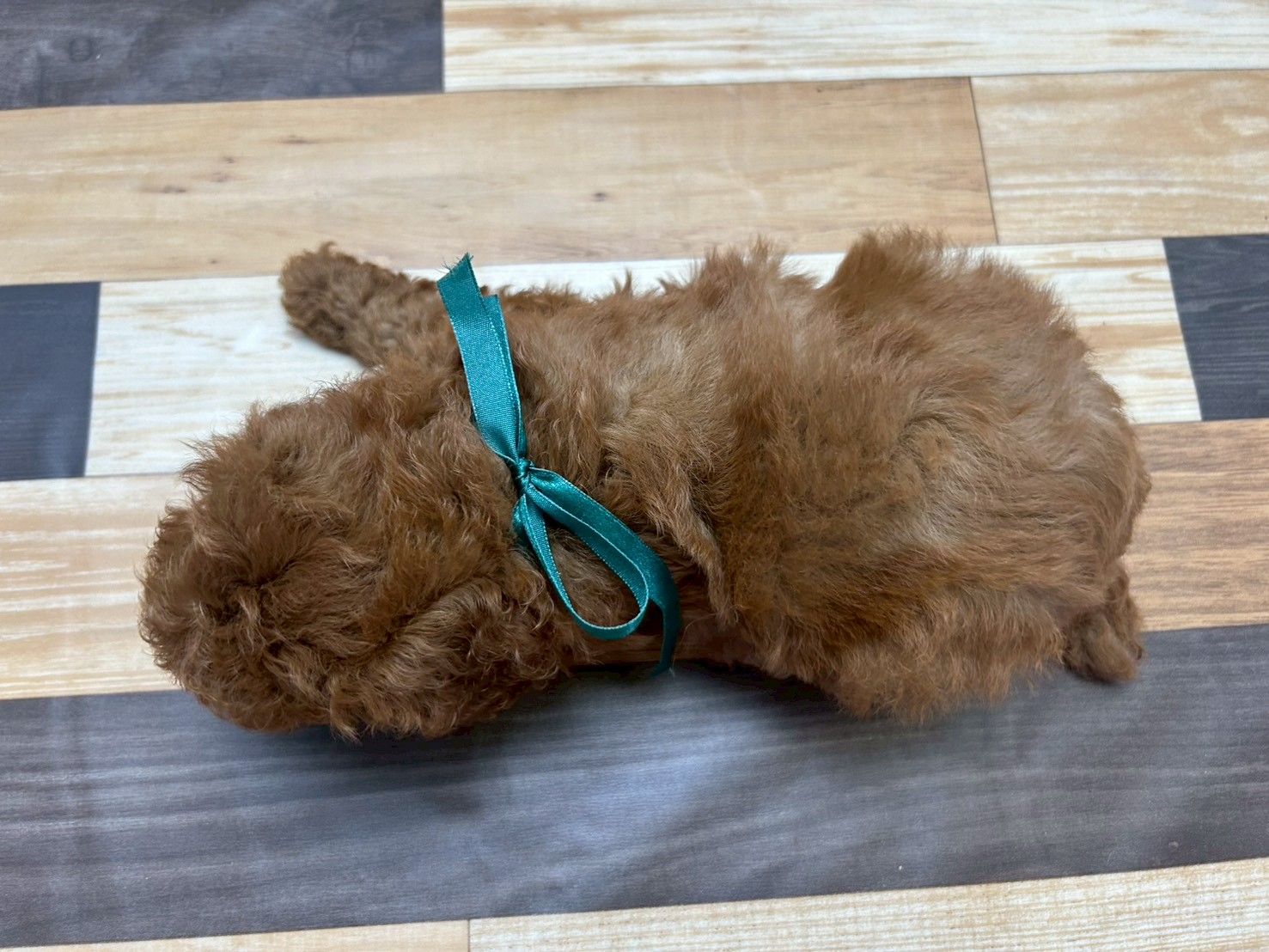 赤ちゃん写真3-3