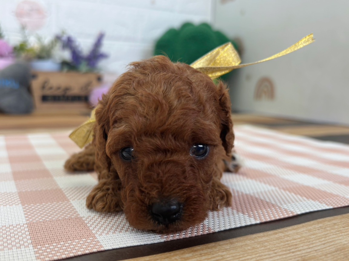 赤ちゃん写真2-1