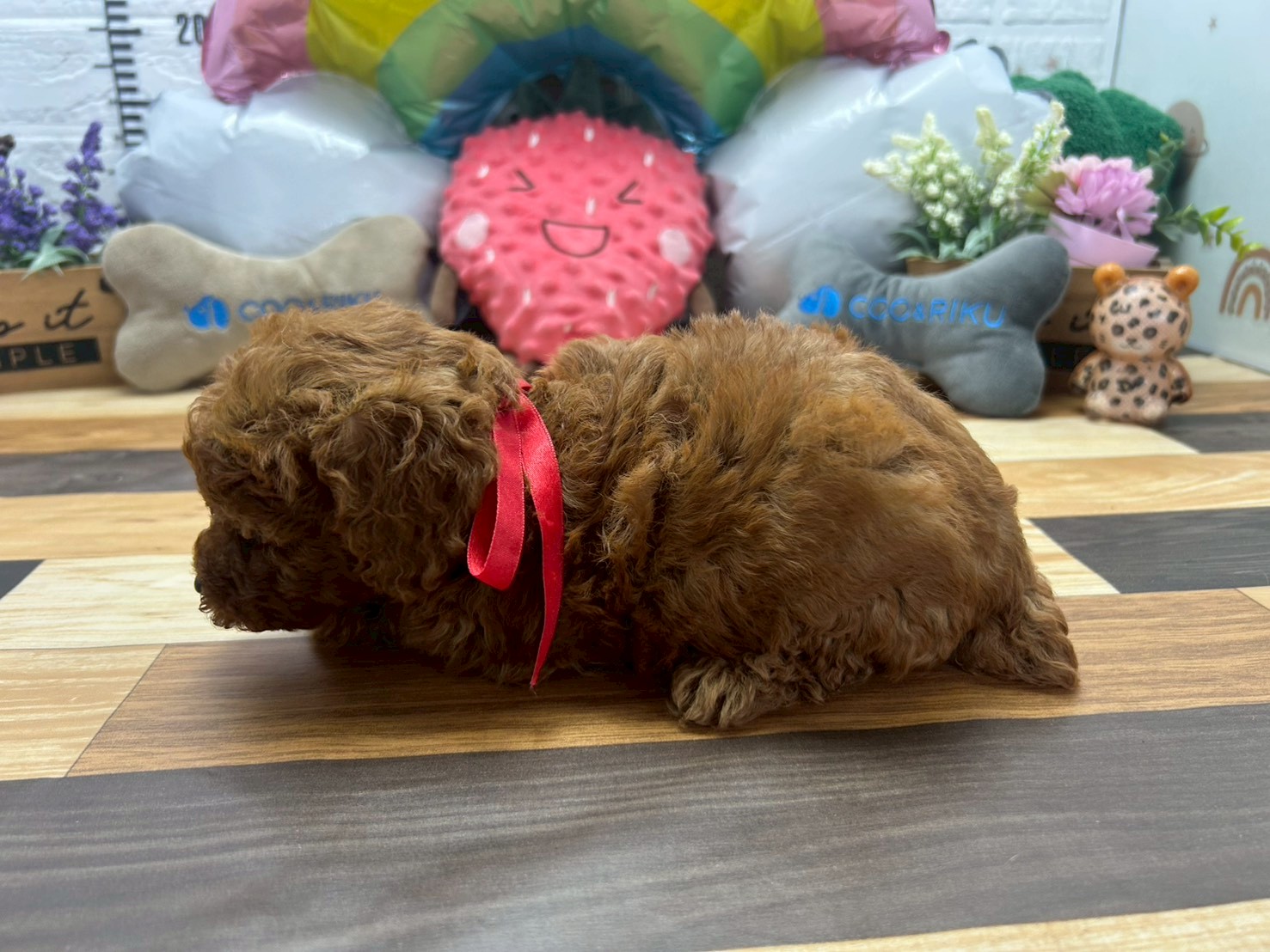 赤ちゃん写真3-2