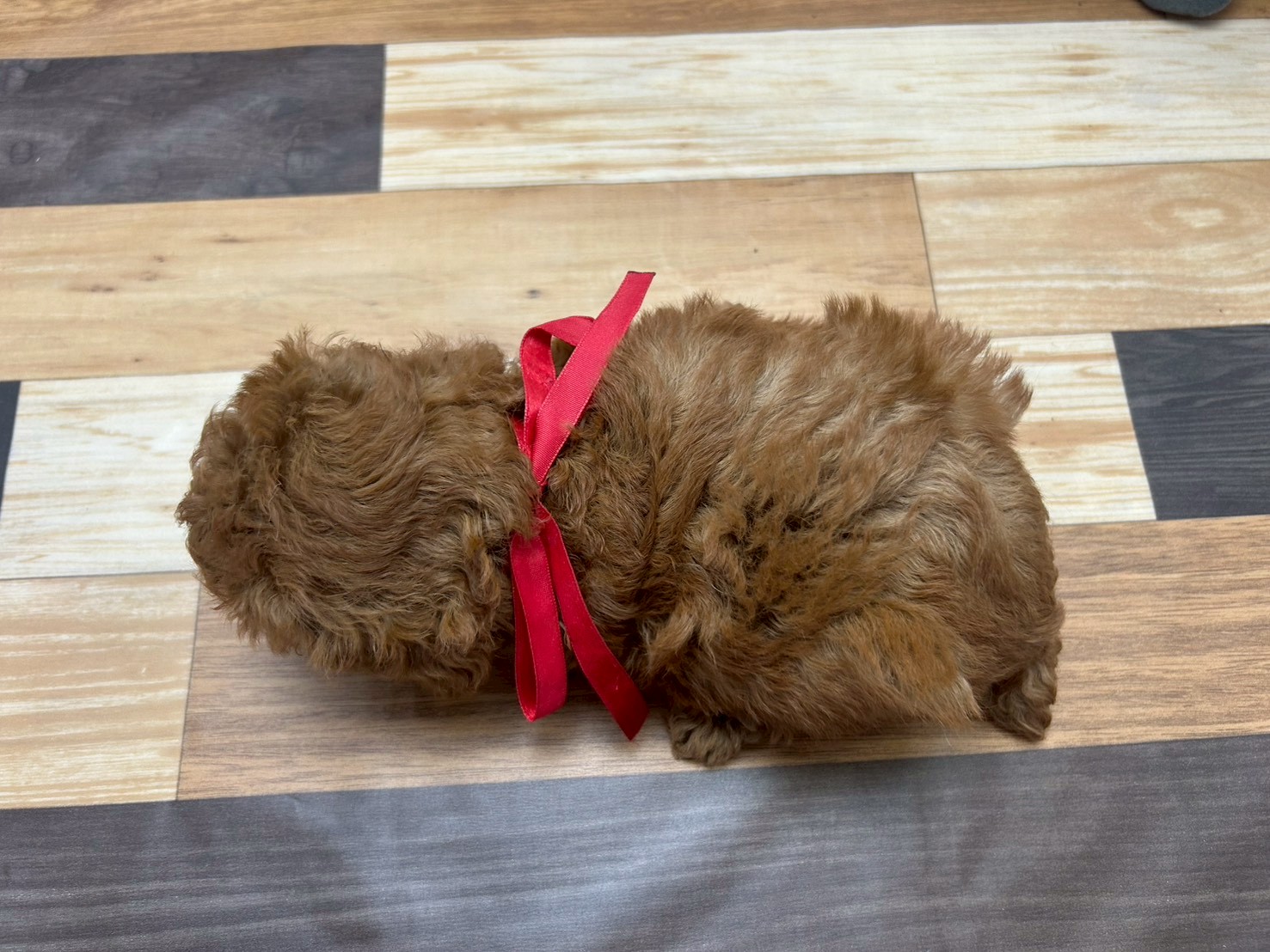赤ちゃん写真3-3