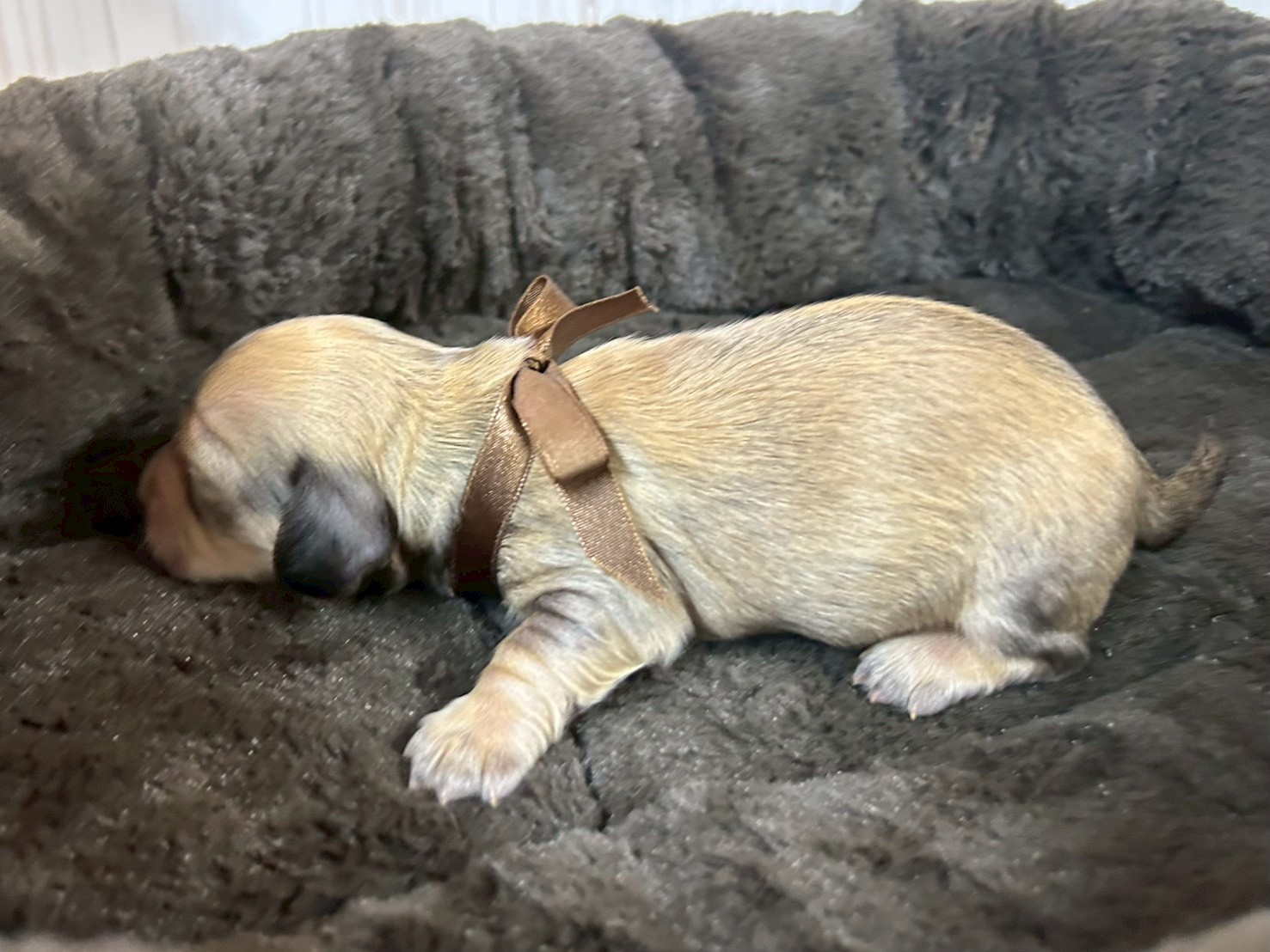 赤ちゃん写真1-2