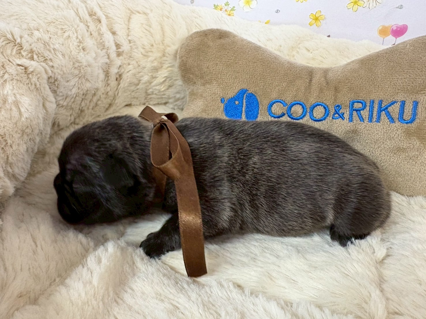 赤ちゃん写真1-2