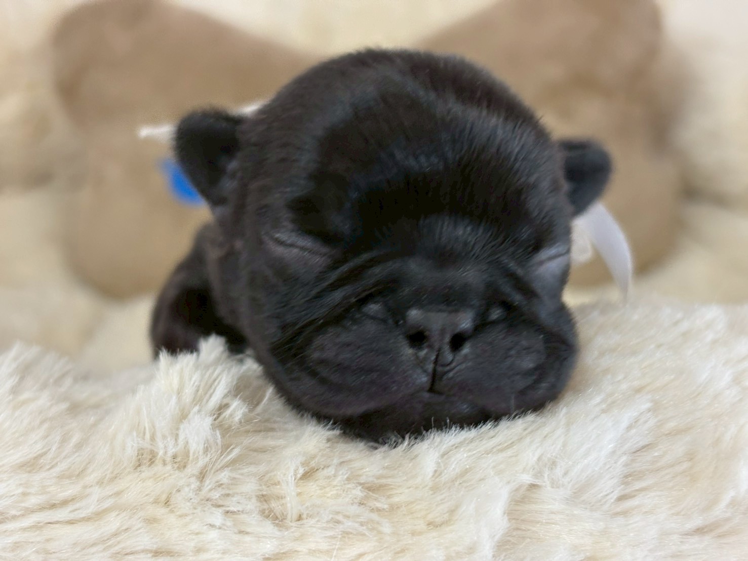 赤ちゃん写真1-1