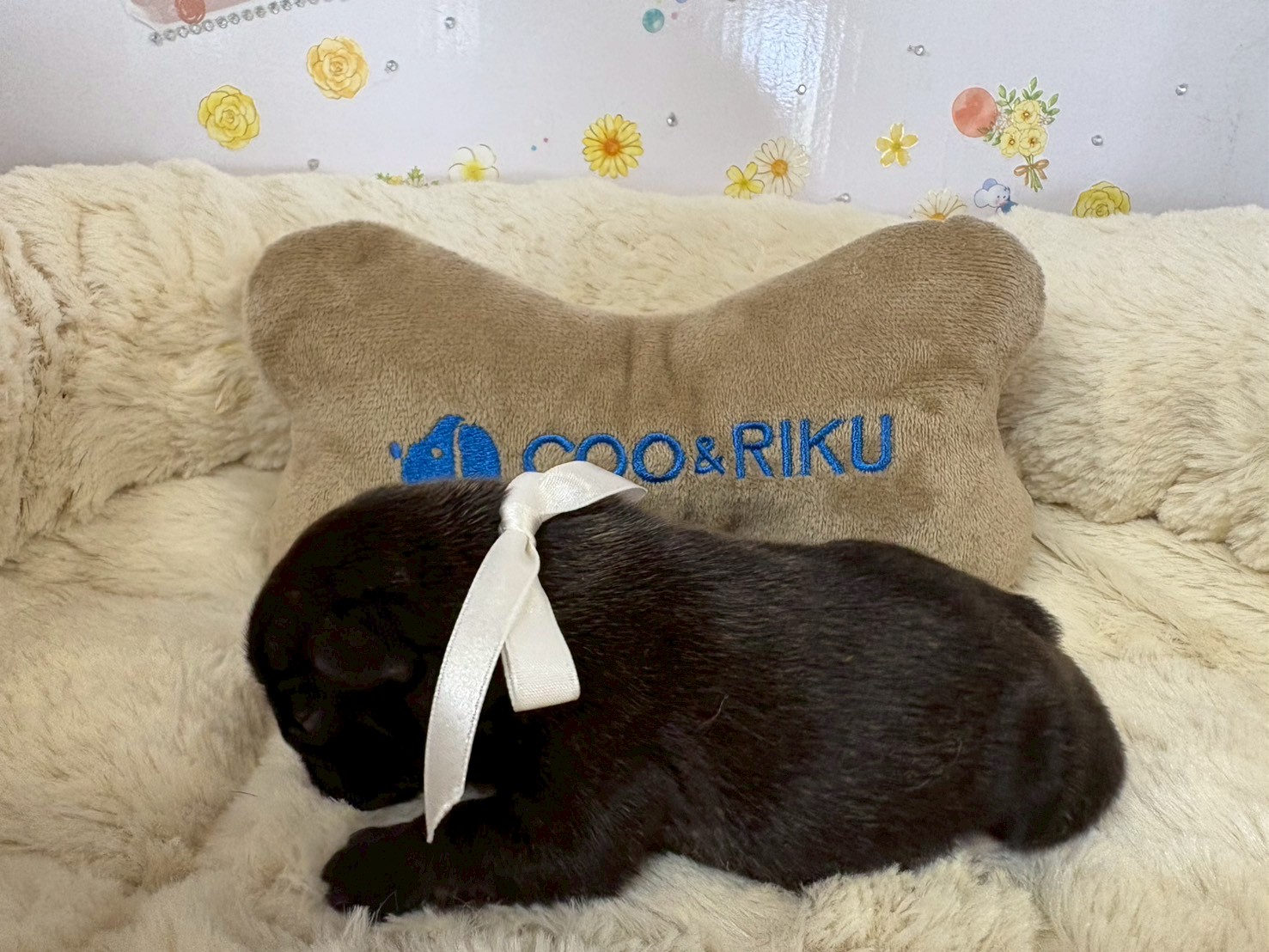 赤ちゃん写真1-2