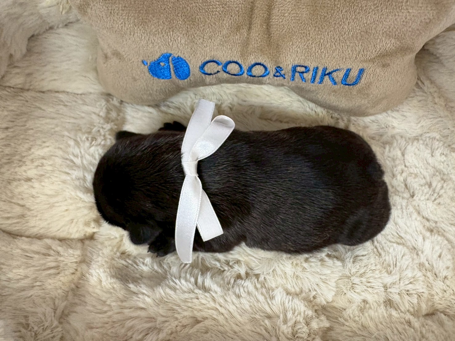 赤ちゃん写真1-3