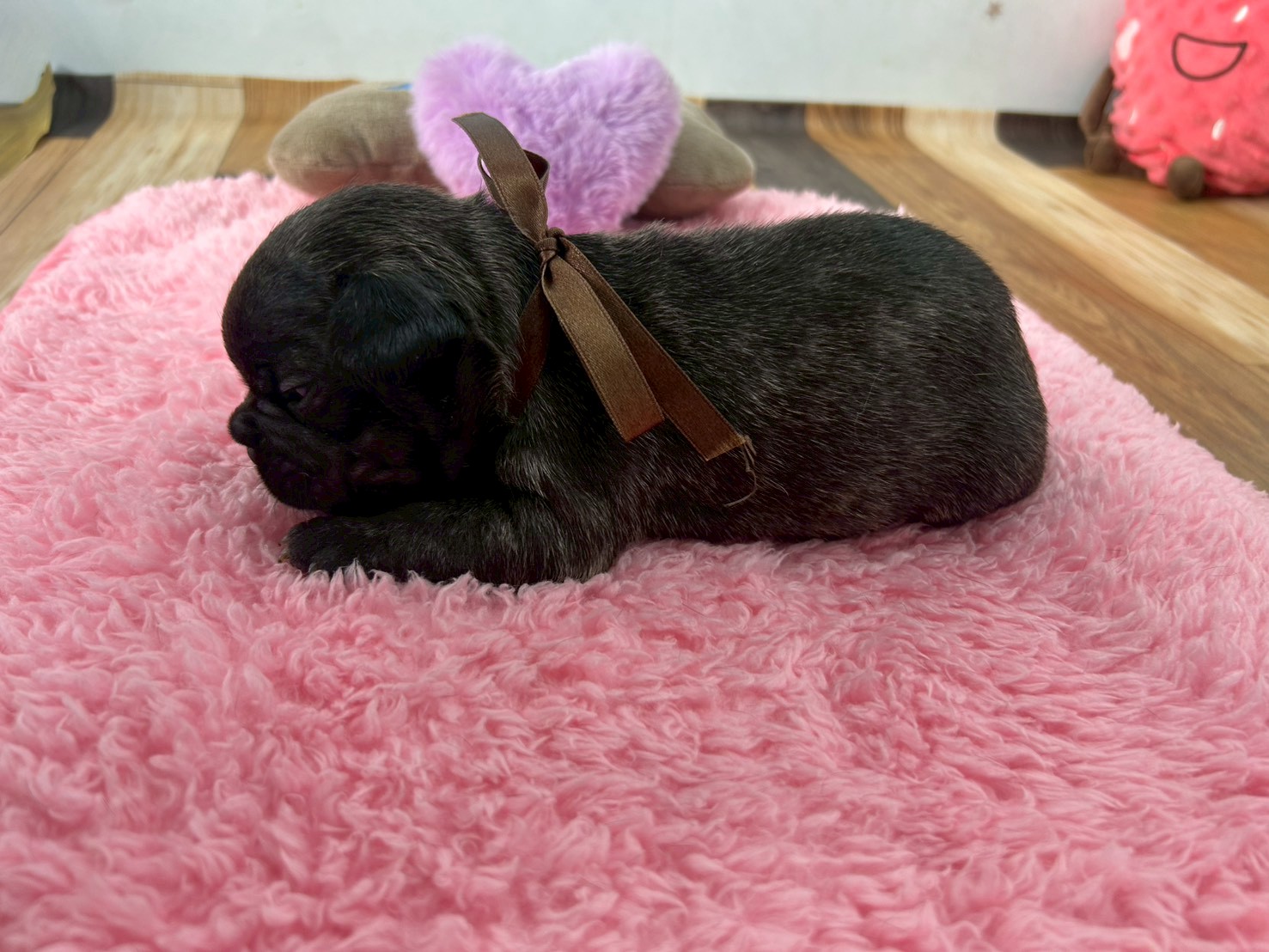 赤ちゃん写真2-2