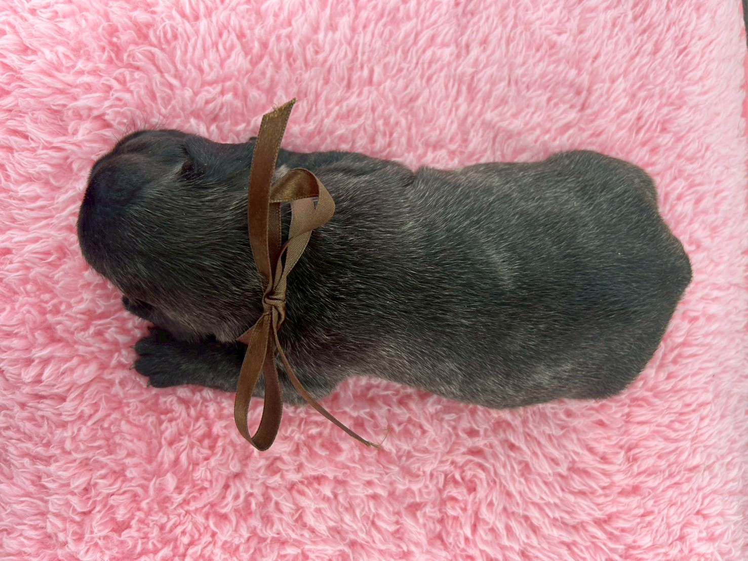 赤ちゃん写真2-3