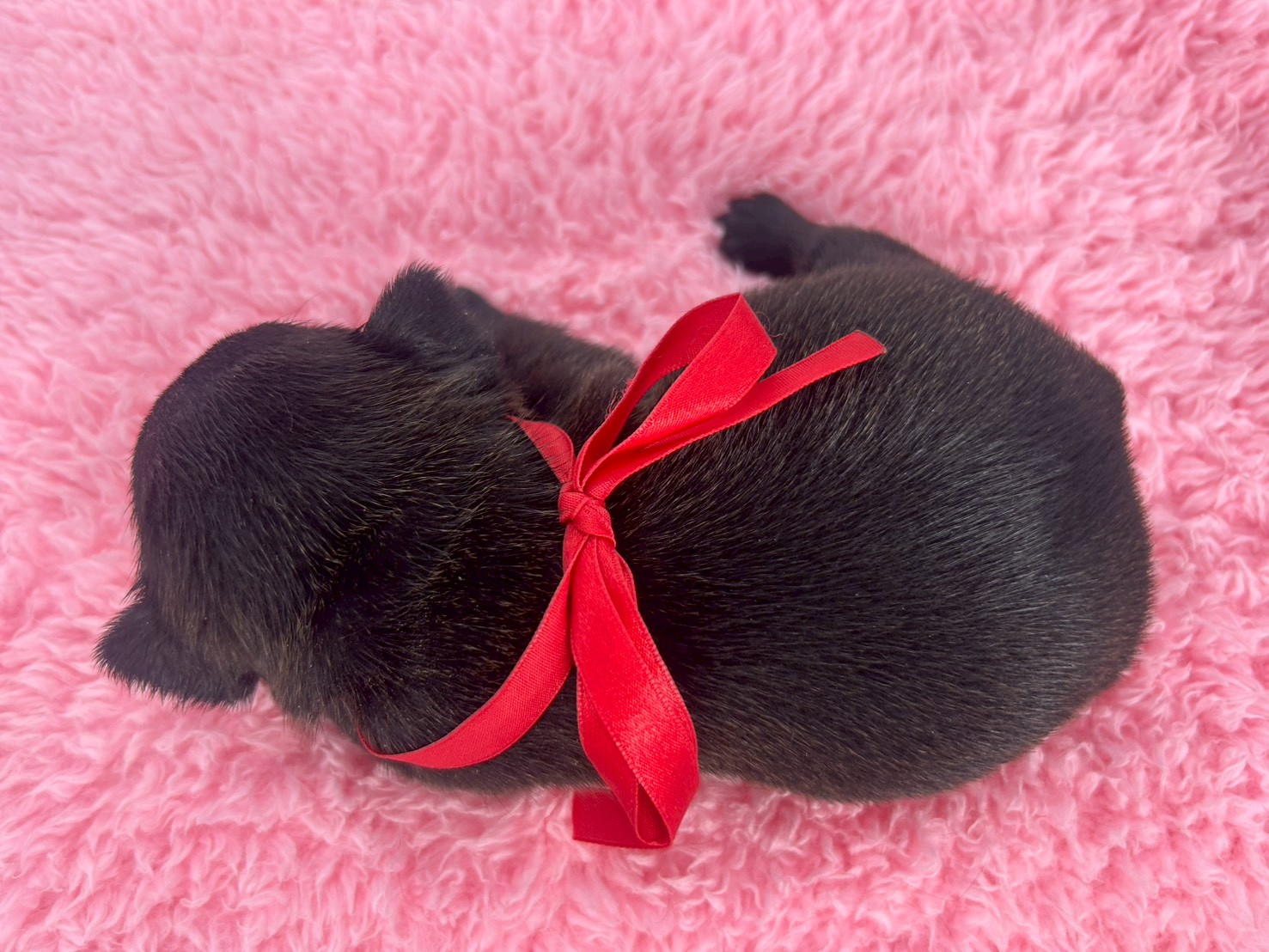 赤ちゃん写真2-3