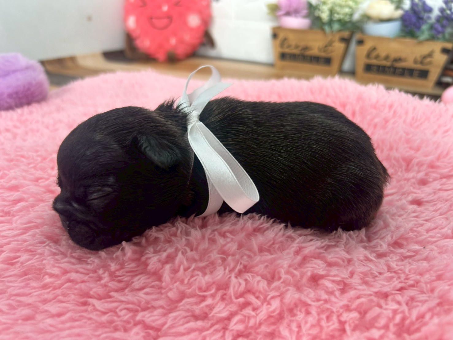 赤ちゃん写真2-2