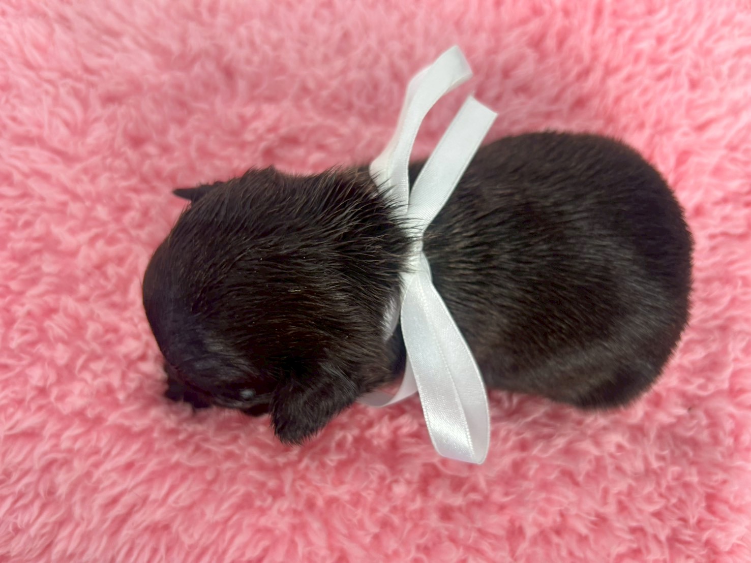 赤ちゃん写真2-3