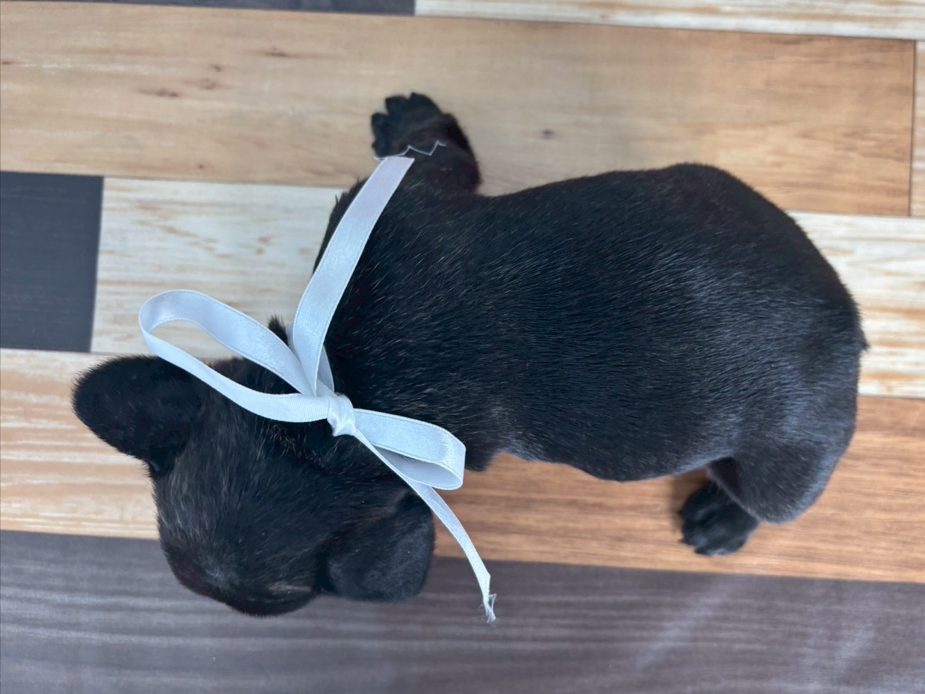 赤ちゃん写真3-3