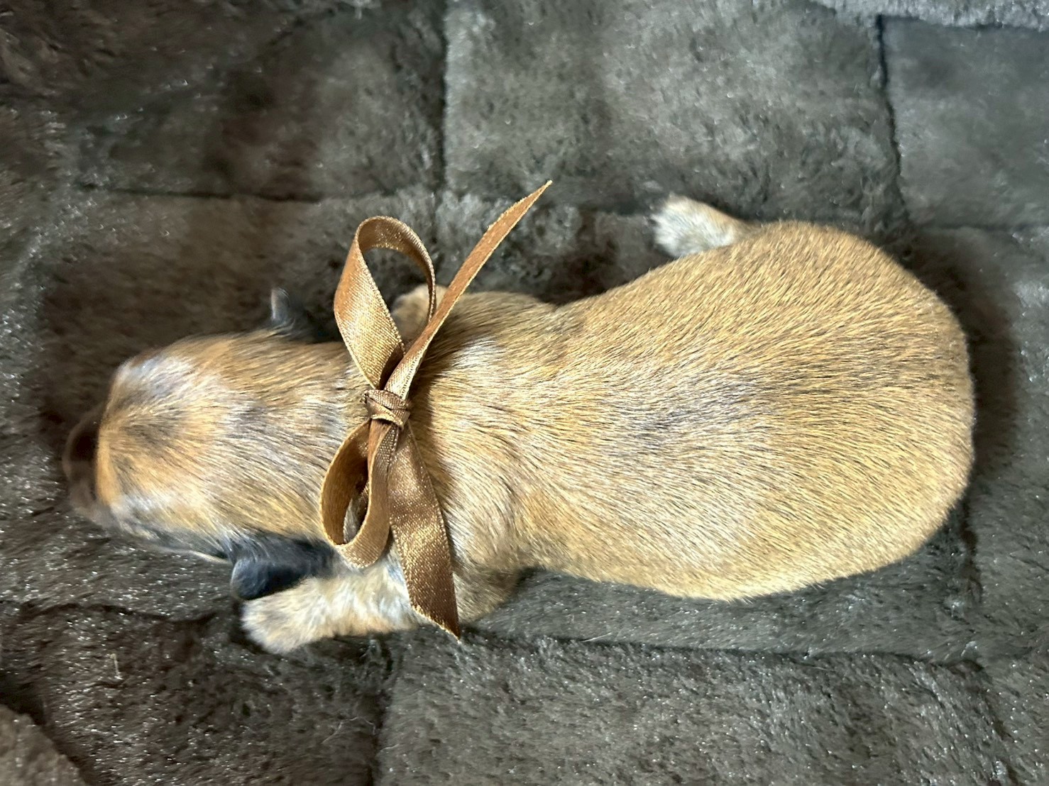 赤ちゃん写真1-3