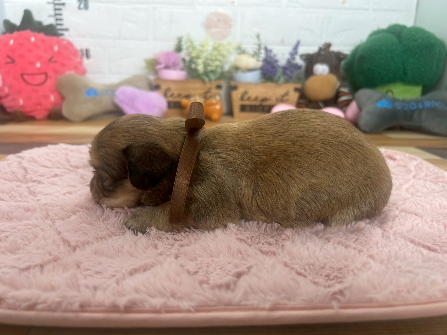 赤ちゃん写真2-2