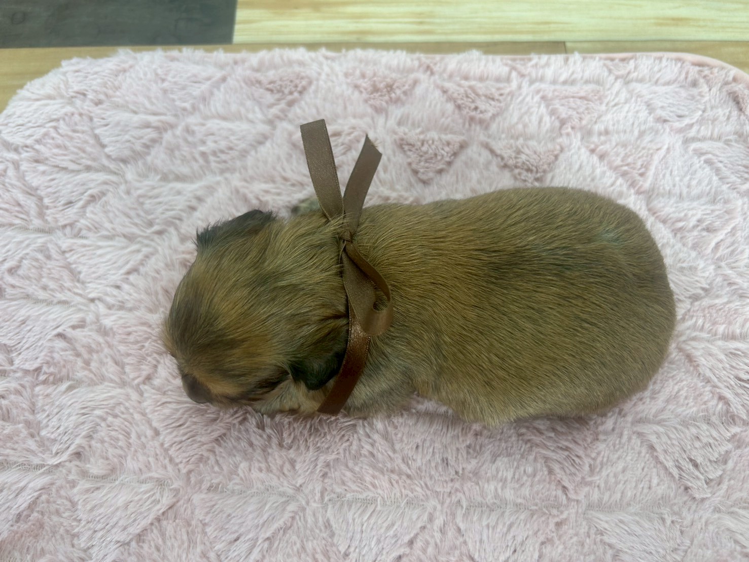 赤ちゃん写真2-3