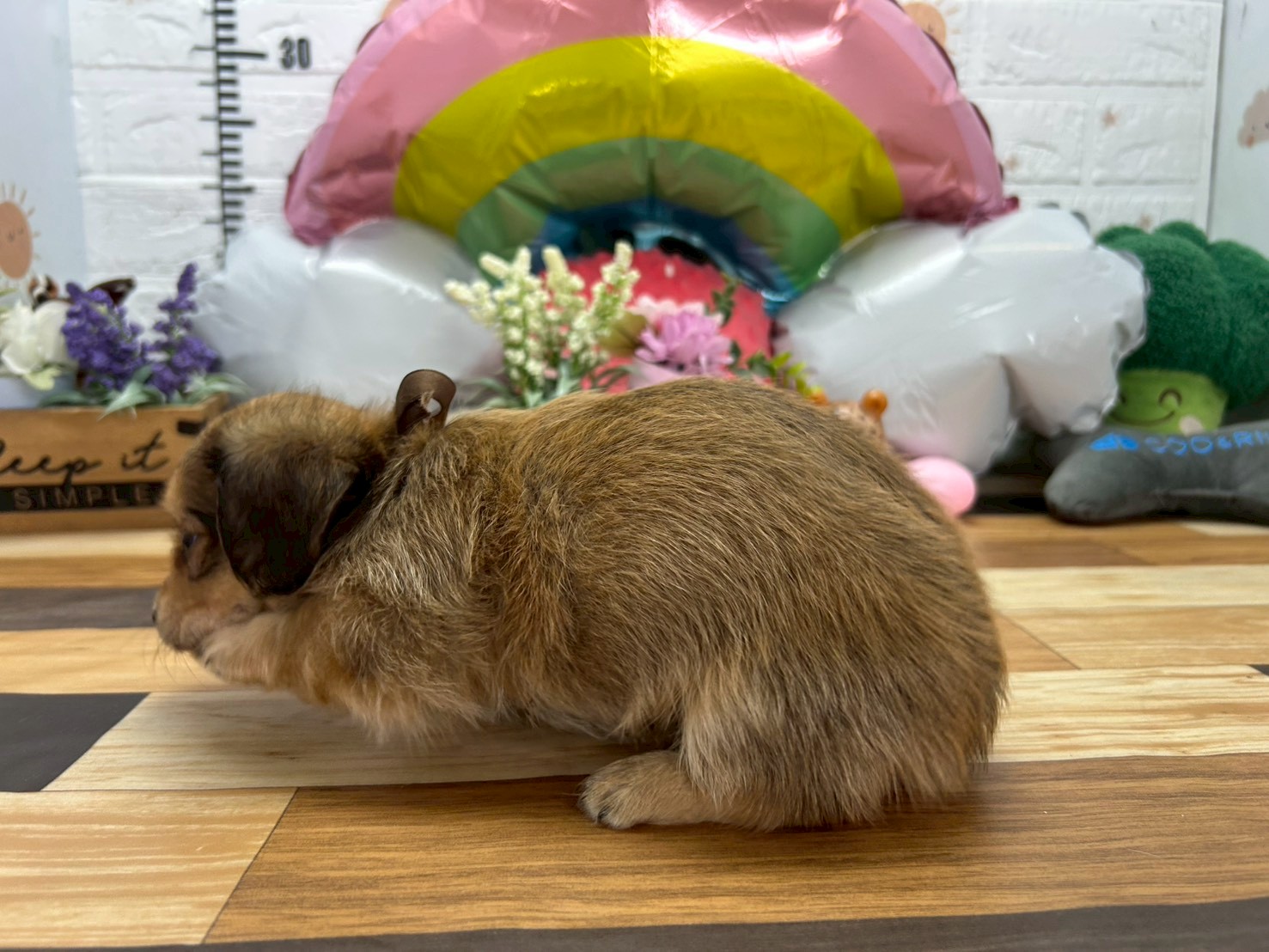 赤ちゃん写真3-2