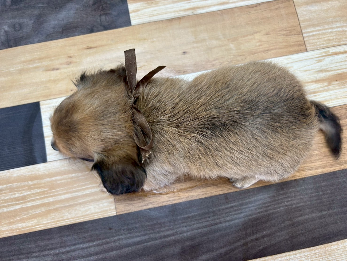 赤ちゃん写真3-3