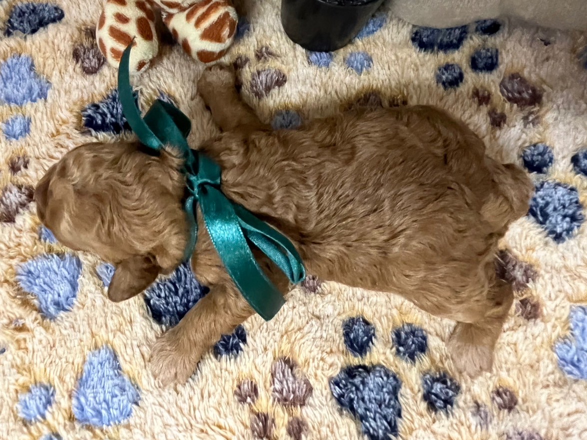 赤ちゃん写真1-3