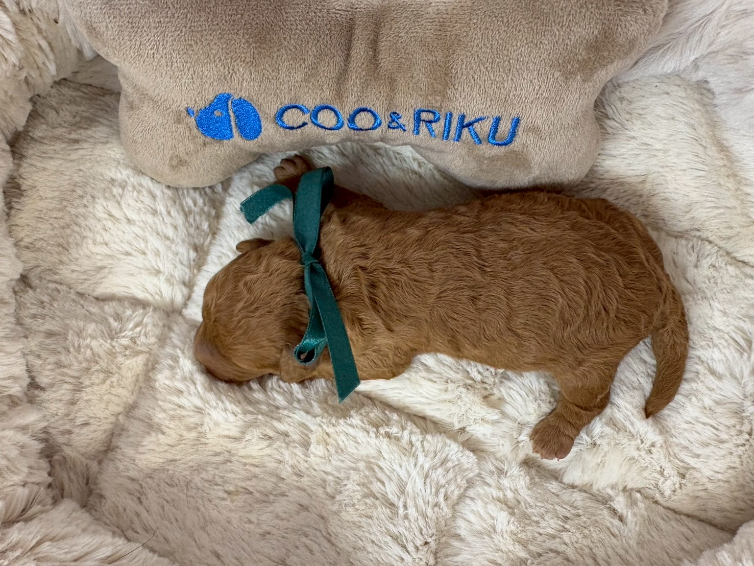 赤ちゃん写真1-3