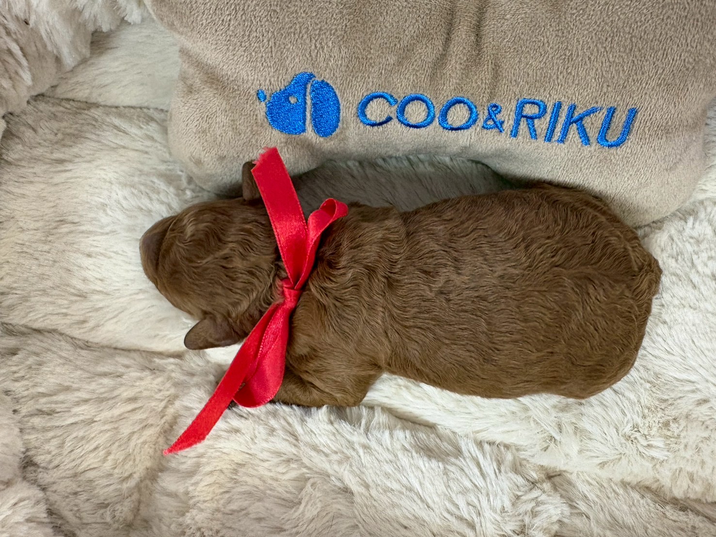 赤ちゃん写真1-3