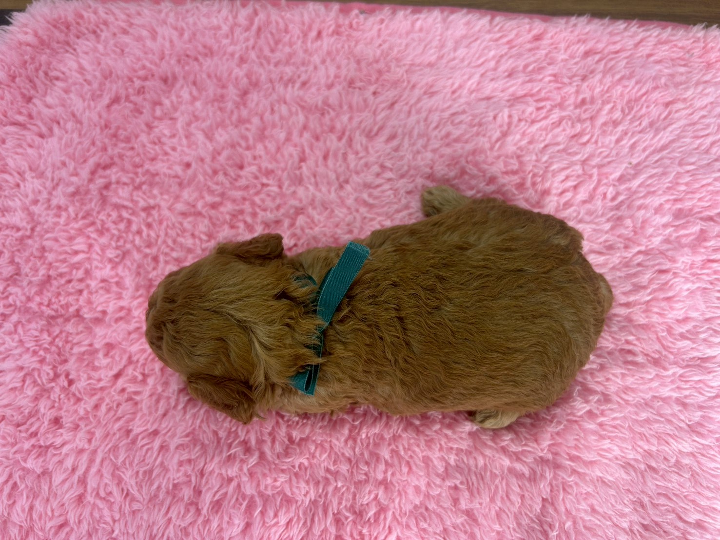 赤ちゃん写真2-3