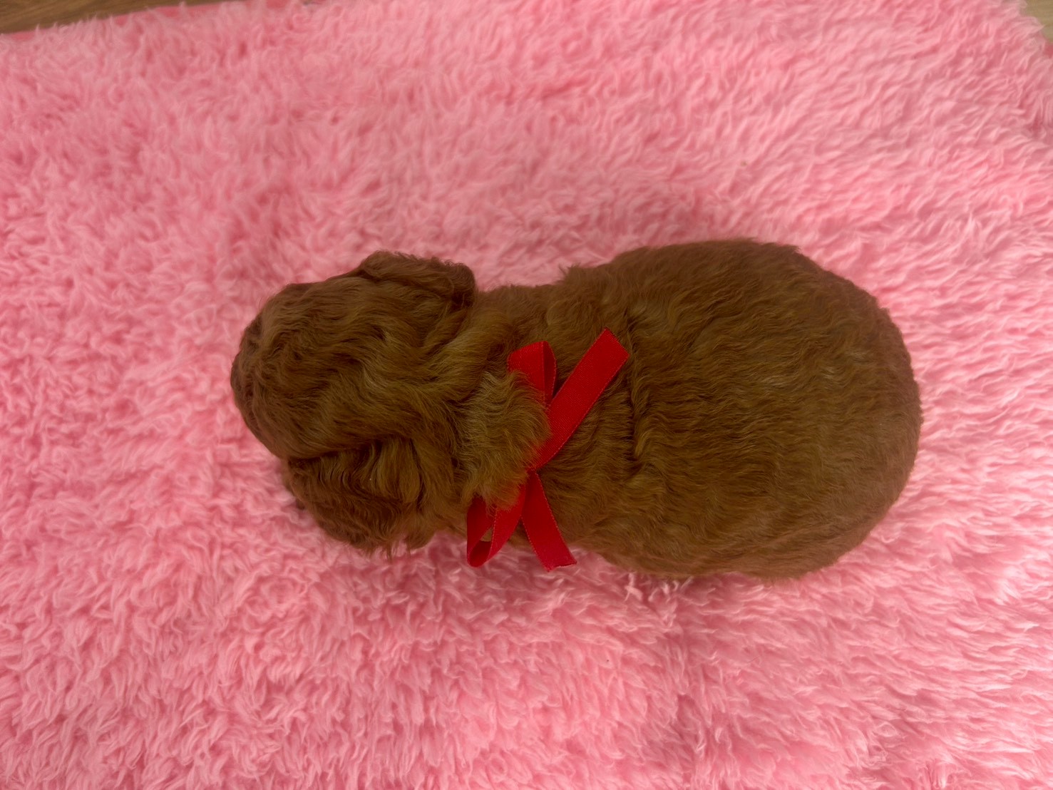赤ちゃん写真2-3
