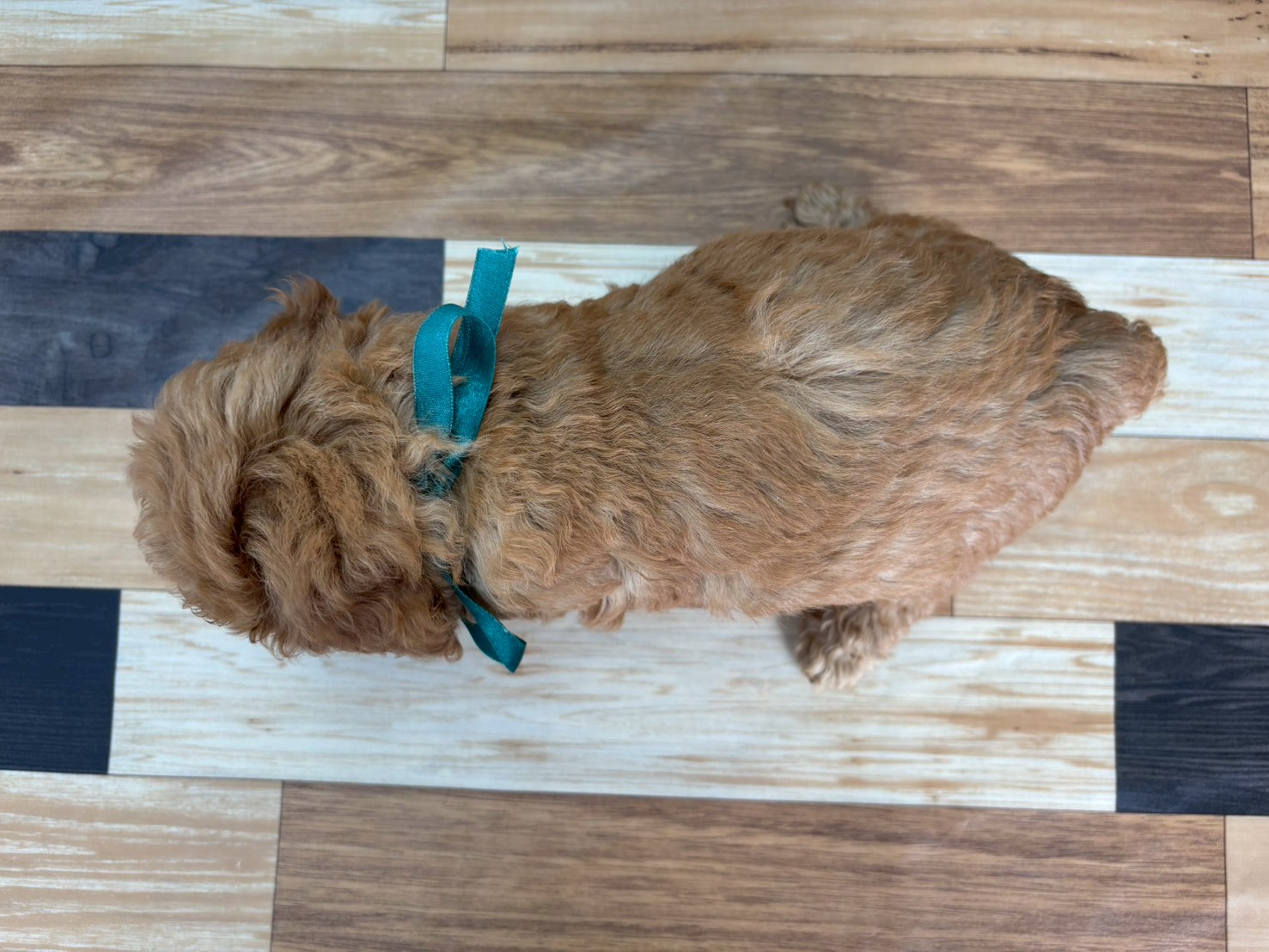 赤ちゃん写真3-3