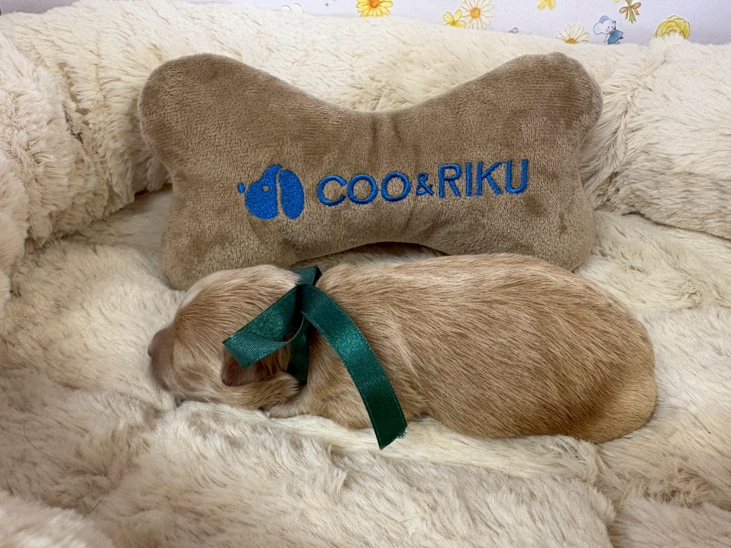 赤ちゃん写真1-2