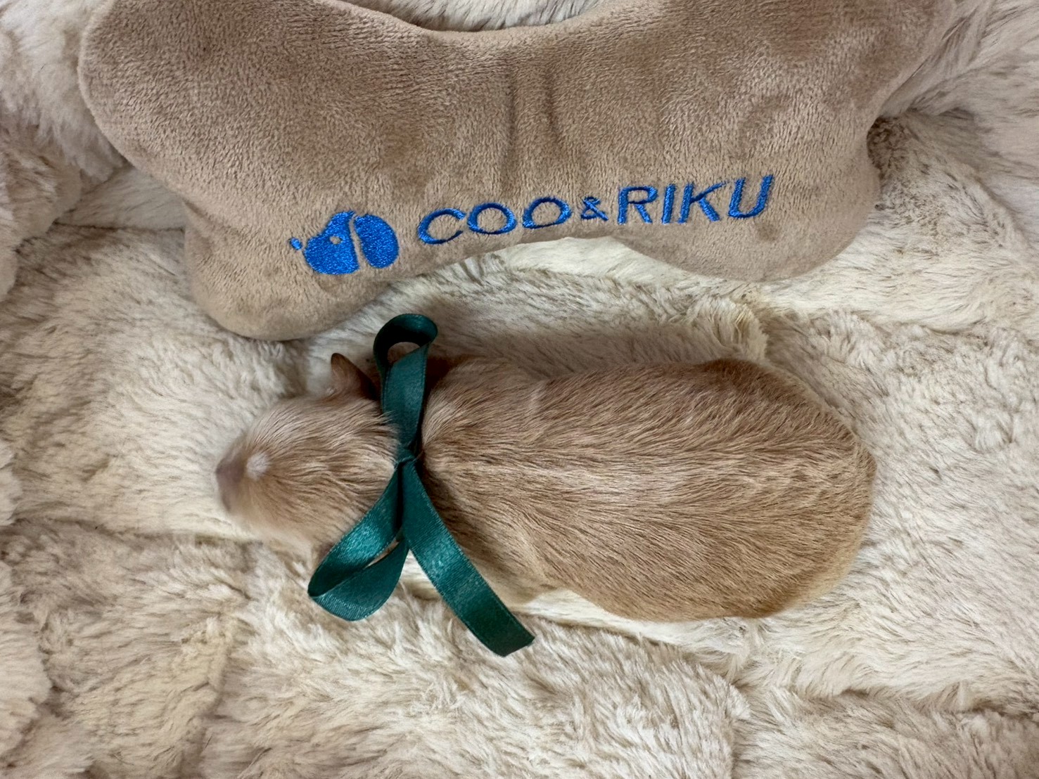 赤ちゃん写真1-3