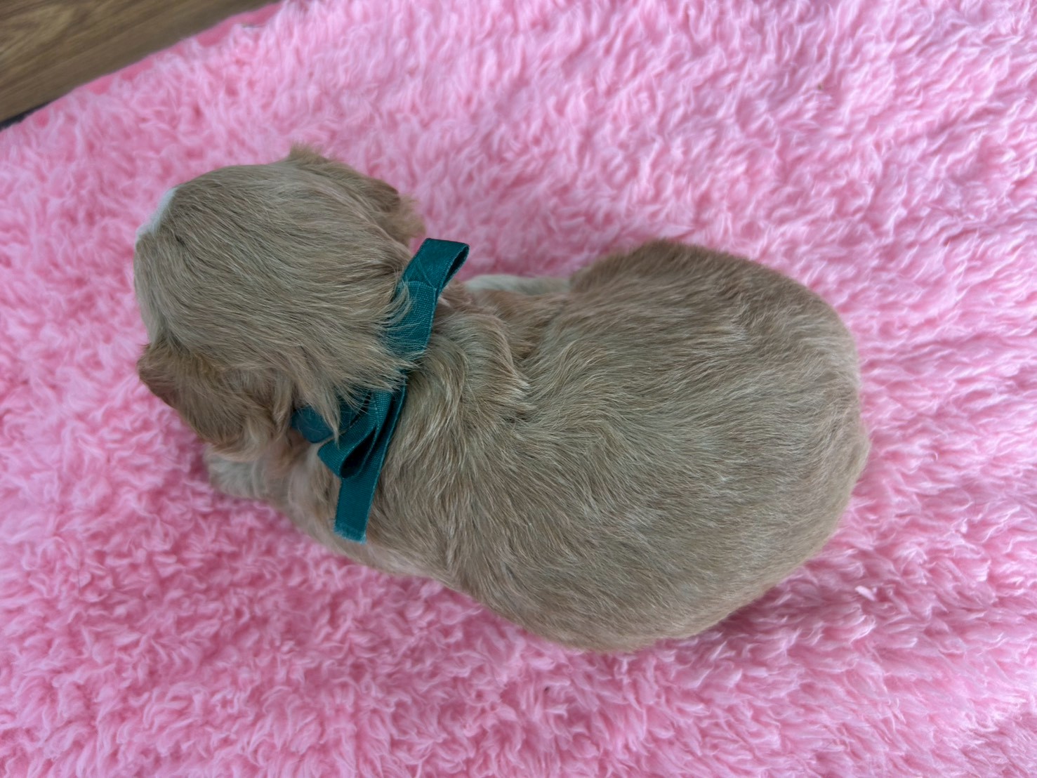赤ちゃん写真2-3