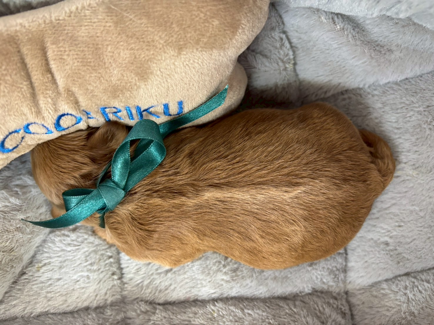 赤ちゃん写真1-3