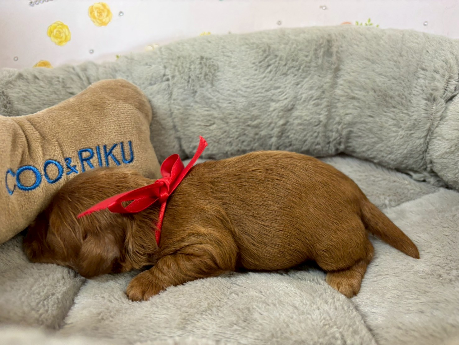 赤ちゃん写真1-2