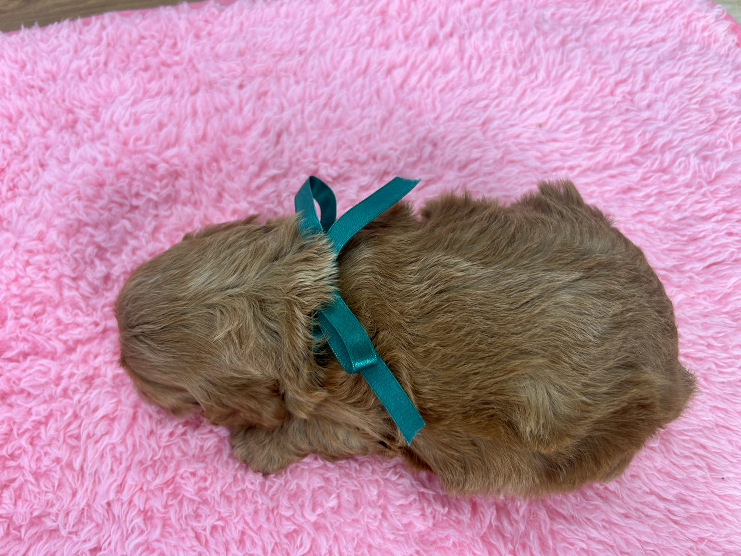 赤ちゃん写真2-3