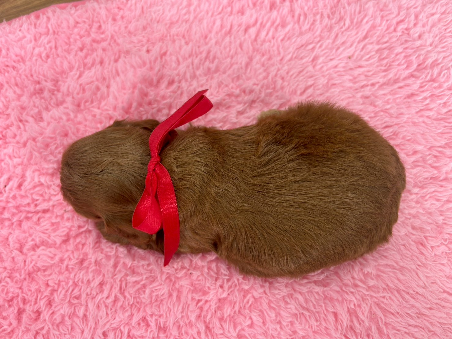 赤ちゃん写真2-3